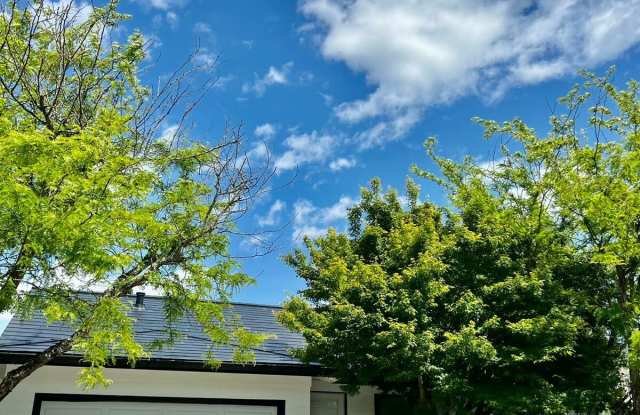 286 Hummingbird Court photos photos