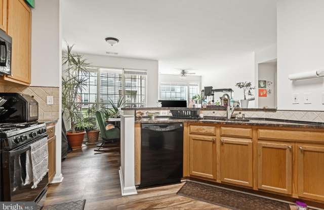 8202 CATBIRD Circle Gallery 4