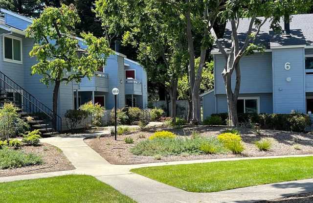 395 Ano Nuevo Ave Gallery 2