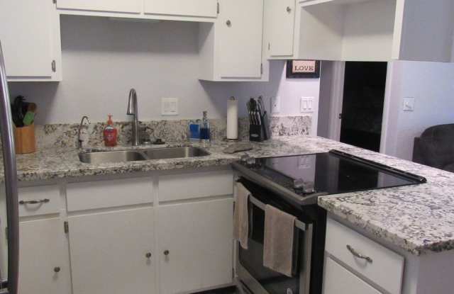 Short Term Rental - Condo Gallery 3