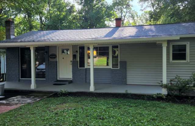 Black Mountain Rental Gallery 3