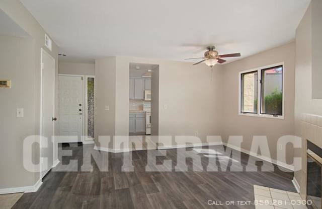 8178 Avenida Navidad Gallery 4