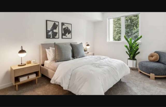 Traxx Apartments Gallery 3