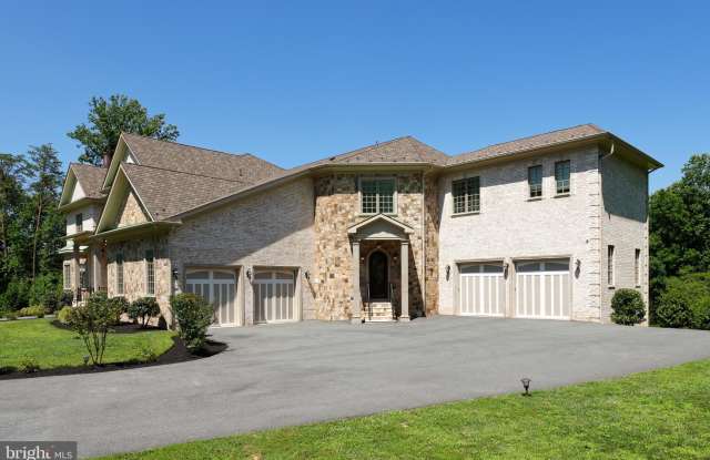1005 WHITE CHIMNEY COURT Gallery 4