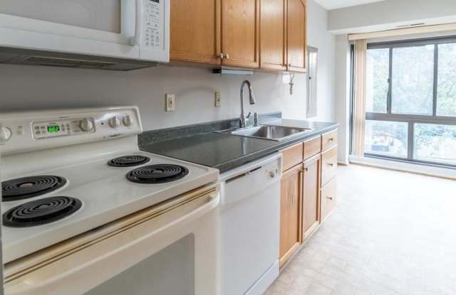 12704 Veirs Mill Rd Unit 31-103 Gallery 2