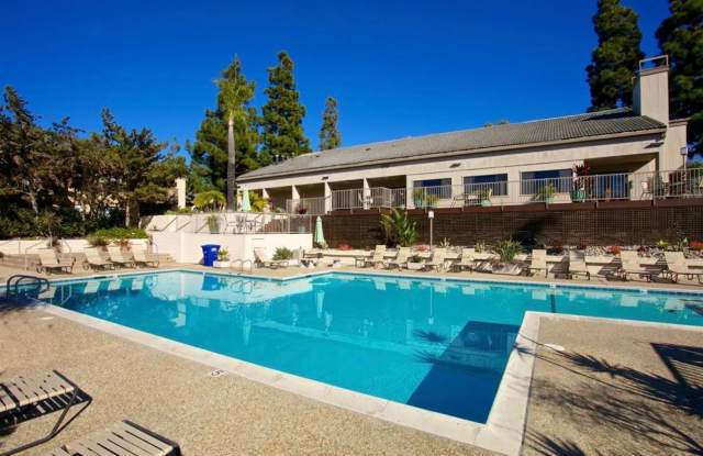 *Spacious 1 Bedroom in La Jolla!* Gallery 1