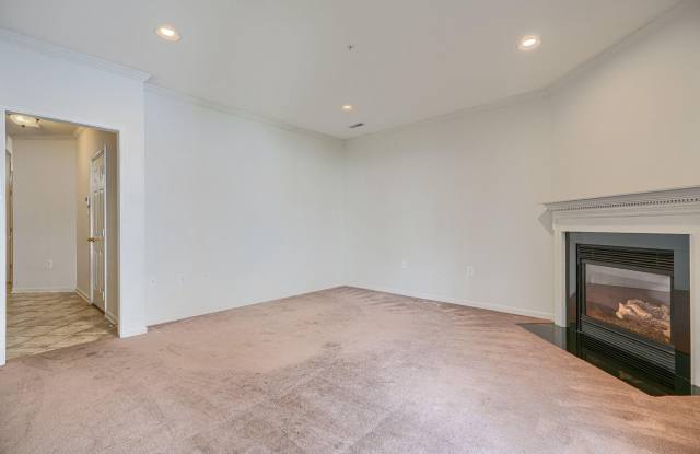 239 ANVIL Way Gallery 4