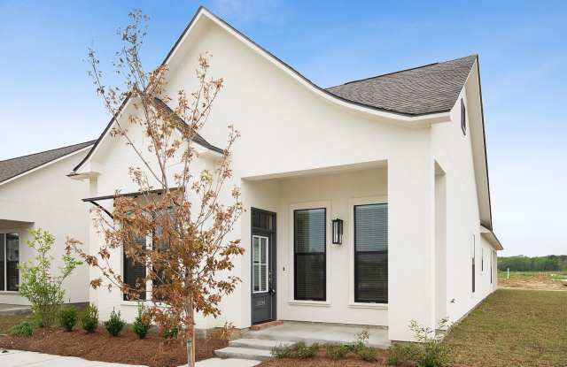 Beautiful 4 bedroom home in Settlement at Shoe Creek photos photos