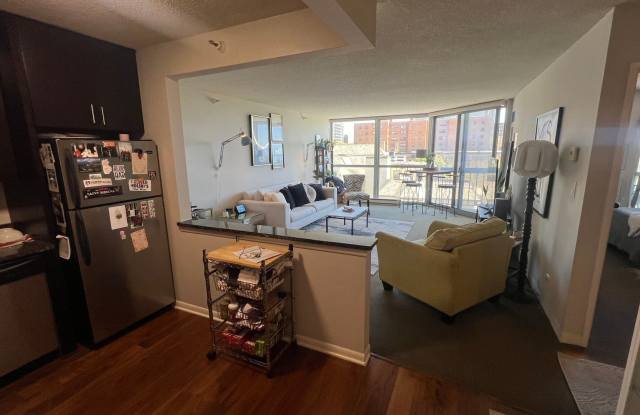 Luxury High-Rise Condo with Stunning Lake Michigan Views  **$250 move in credit** Gallery 4
