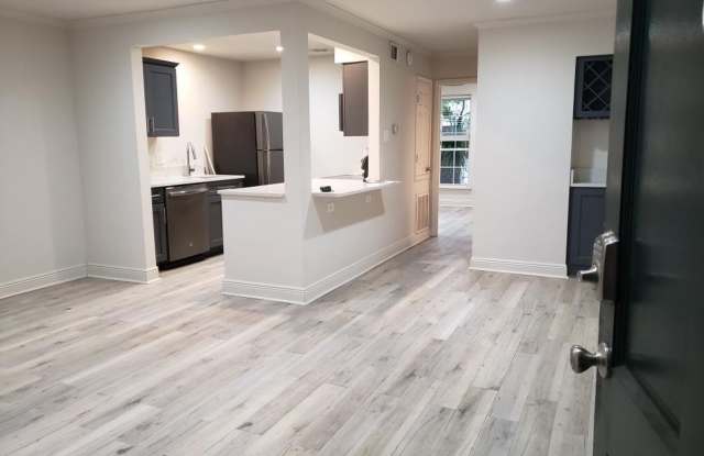 Renovated Condo steps from Maple Street & St Charles! photos photos