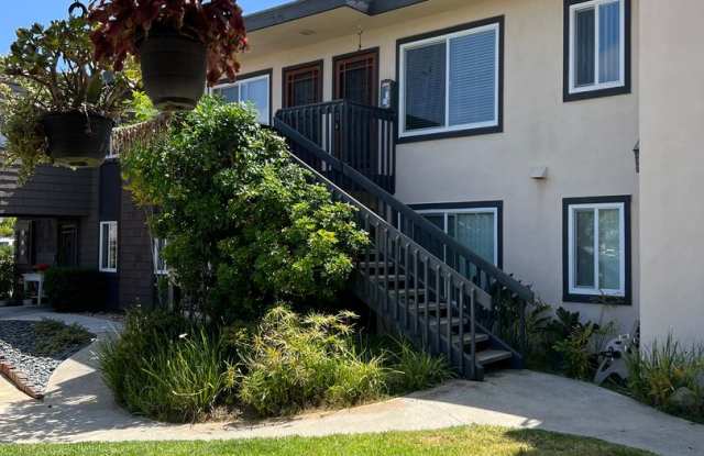 Sea Chase (Acacia Avenue) photos photos