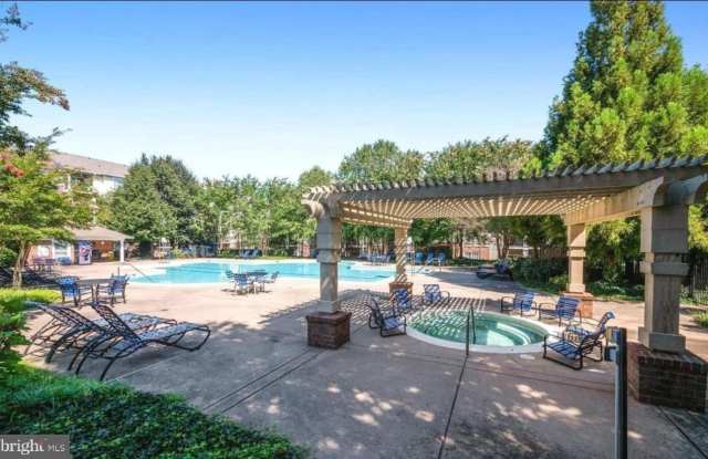 19627 GALWAY BAY Circle unit: 401 photos photos