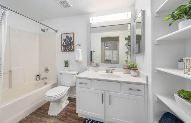 Luna at Fountain Hills by Mark-Taylor photos photos