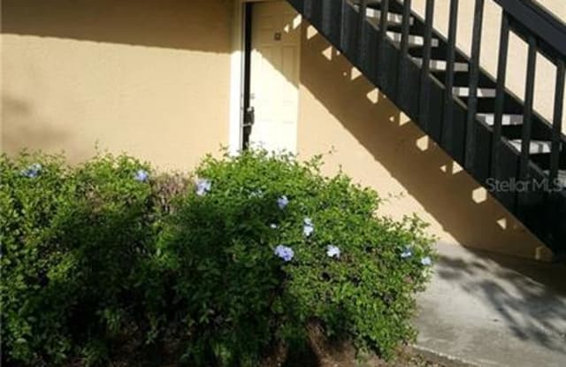 628 GOLDEN RAINTREE PLACE - 628 Golden Raintree Place, Brandon, FL 33510