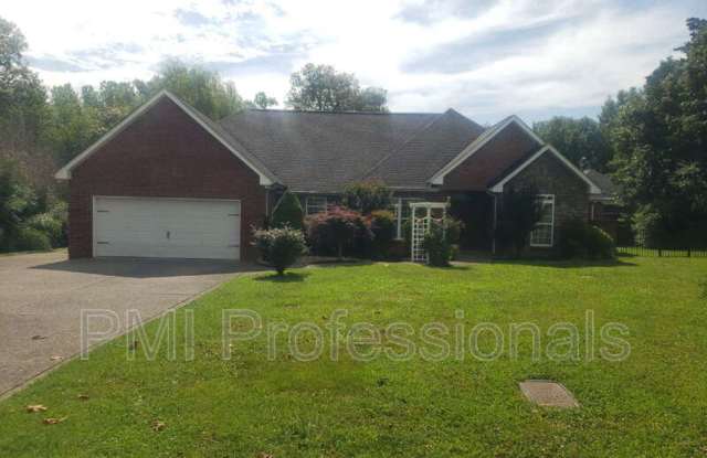 1205 Cascade Falls Drive - 1205 Cascade Falls Drive, Rutherford County, TN 37129