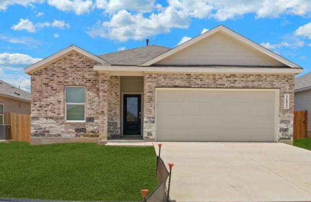 31823 Christmas Rose photos photos