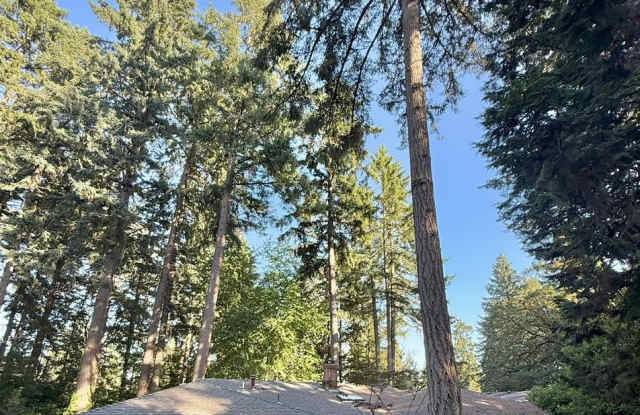 Pet Friendly Home with Pool Access! photos photos