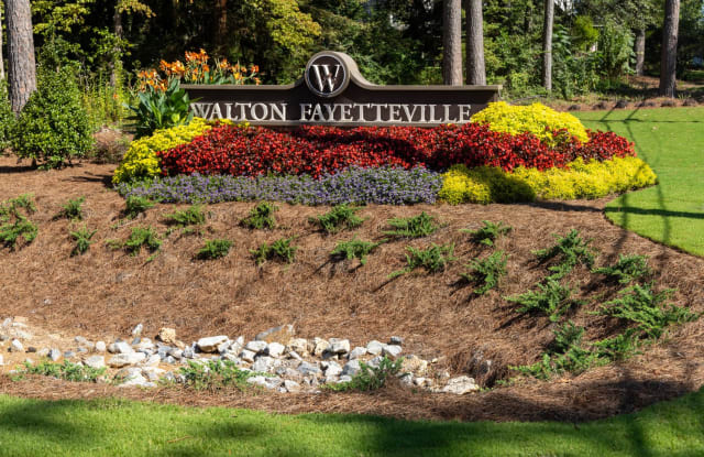 Walton Fayetteville Gallery 2