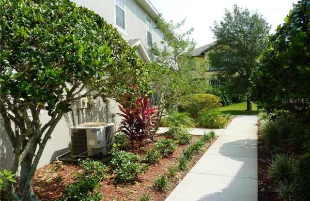 5226 BLUE ROAN WAY Gallery 3
