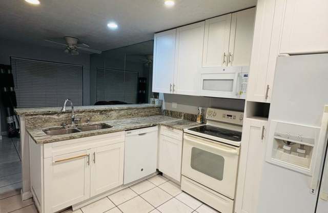 Spacious 3BR Townhome with 2-Car Garage in Tampa Gallery 4
