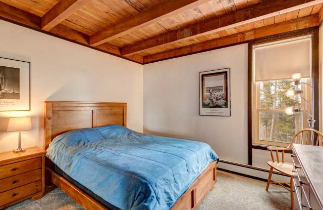 Price Reduced!! Silverthorne 2BR at Treehouse!  Year lease! Over $400 in Utilities included! Gallery 4