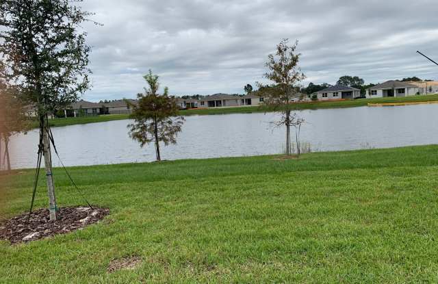 17841 Blazing Star Cir Clermont, FL  34714 United States photos photos
