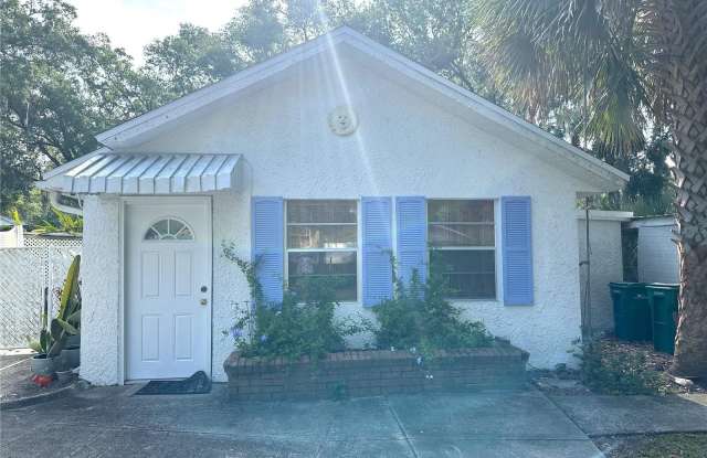 206 E 9TH AVENUE - 206 East 9th Avenue, Mount Dora, FL 32757