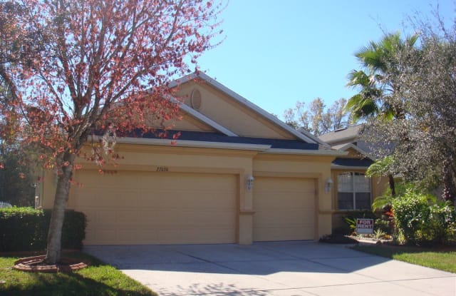 27030 Palmetto Bend Dr - 27030 Palmetto Bend Drive, Wesley Chapel, FL 33544