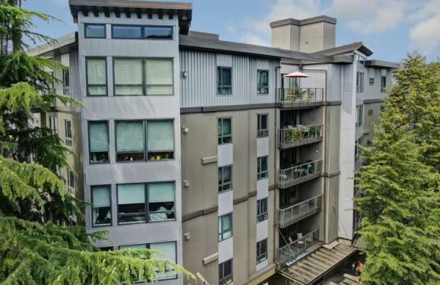 5001 California Ave SW - 5001 California Avenue Southwest, Seattle, WA 98136