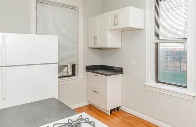 1007 N California Ave - 1007 North California Avenue, Chicago, IL 60622