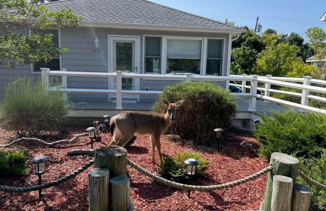 45 Beachwold photos photos