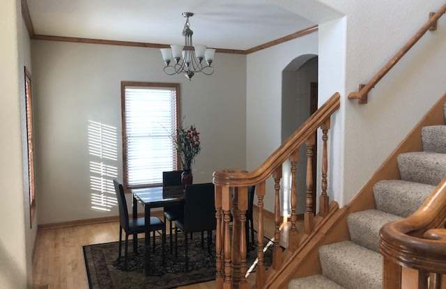 1626 Deer Trl Gallery 3