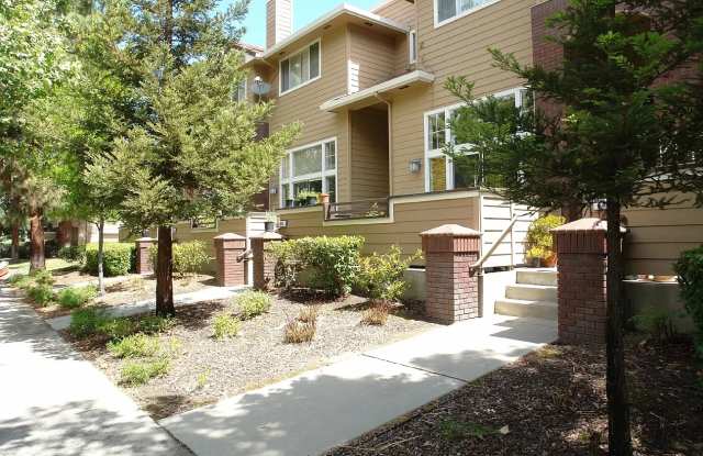 455 Mill River Ln - 455 Mill River Lane, San Jose, CA 95134