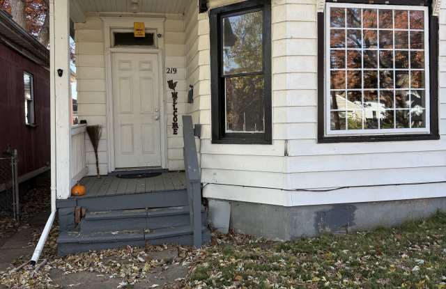 219 Van Buren Street - 219 Van Buren Street, Peoria, IL 61603