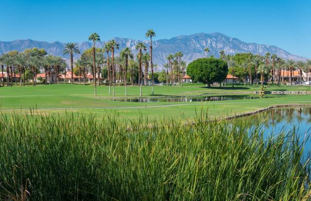 131 Desert Falls Circle photos photos