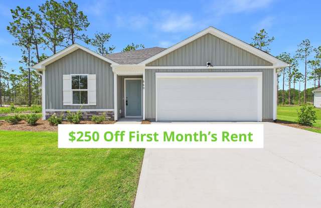 Brand New Single Family Home in Boiling Springs Lakes 3 Bdrm/ 2 Bath, 1583 Sq Ft, Pet-Friendly, Rent $2200! Gallery 1