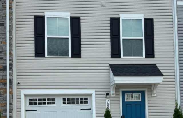 7204 SENATE WAY - 7204 Senate Way, Caroline County, VA 22546