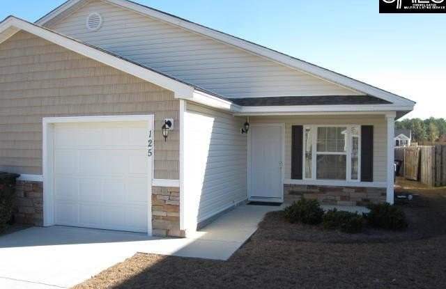 125 Bonhomme Circle - 125 Bonhomme Circle, Lexington County, SC 29072