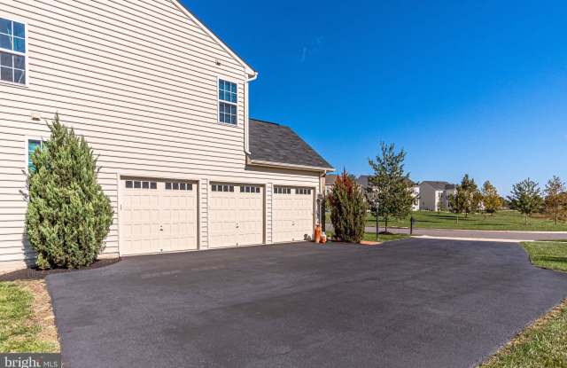 24465 DONMARR Gallery 3