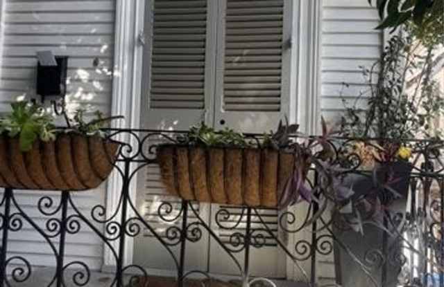 2335 CHARTRES Street Gallery 2