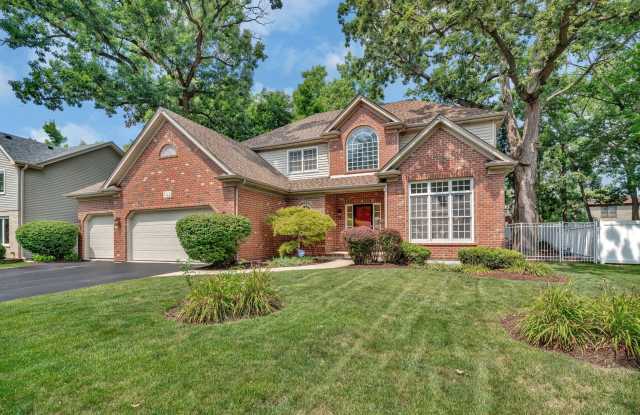 745 Feather Sound Drive - 745 Feather Sound Drive, Bolingbrook, IL 60440 745 Feather Sound Drive - 745 Feather Sound Drive, Bolingbrook, IL 60440