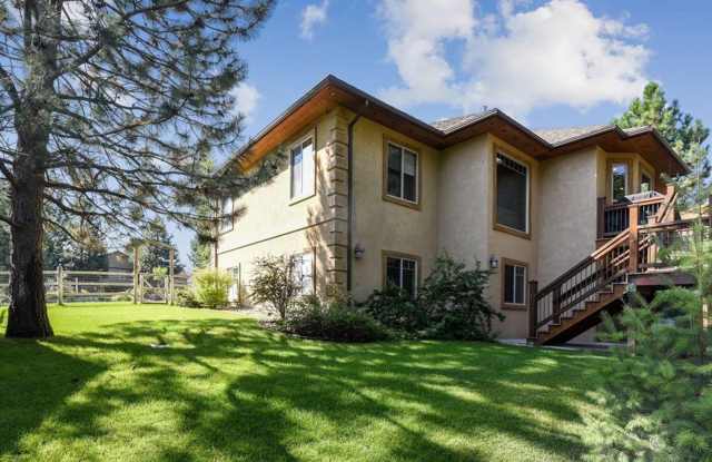 A True Lolo MT Gem! Gallery 4