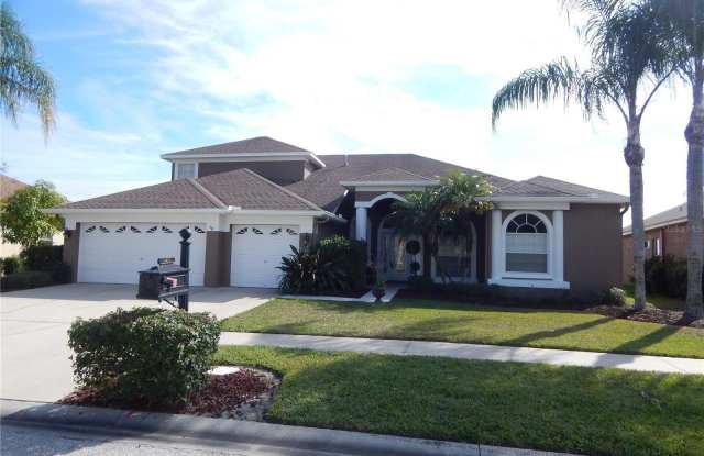 14812 CORAL BERRY DRIVE - 14812 Coral Berry Drive, Keystone, FL 33626