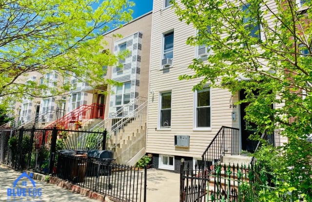 291 MACDOUGAL ST. - 291 Mac Dougal St, Brooklyn, NY 11233
