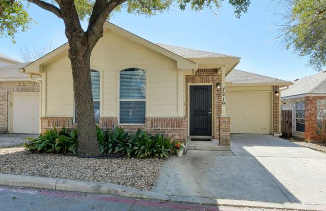 7219 Painter photos photos