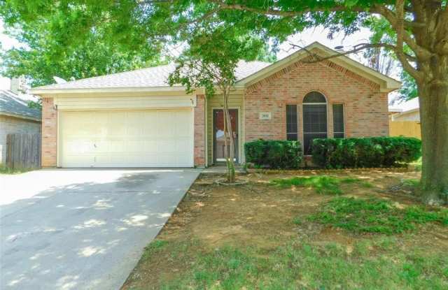 3933 Parkhaven Drive - 3933 Parkhaven Drive, Denton, TX 76210