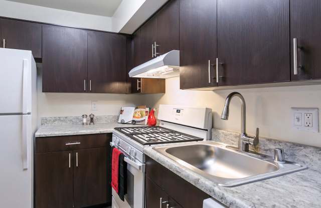 The Apartments at Saddle Brooke photos photos