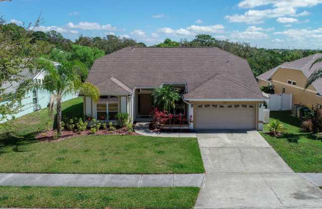 4 bedroom pool home with a lake view - Braden River lakes photos photos