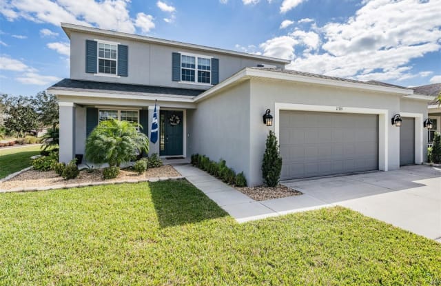 17339 CHELSEA DOWNS CIRCLE - 17339 Chelsea Downs Circle, Fish Hawk, FL 33547