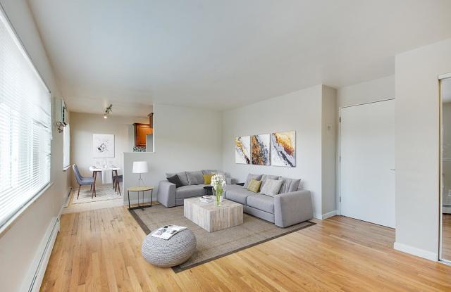 La Roma photos photos La Roma photos photos